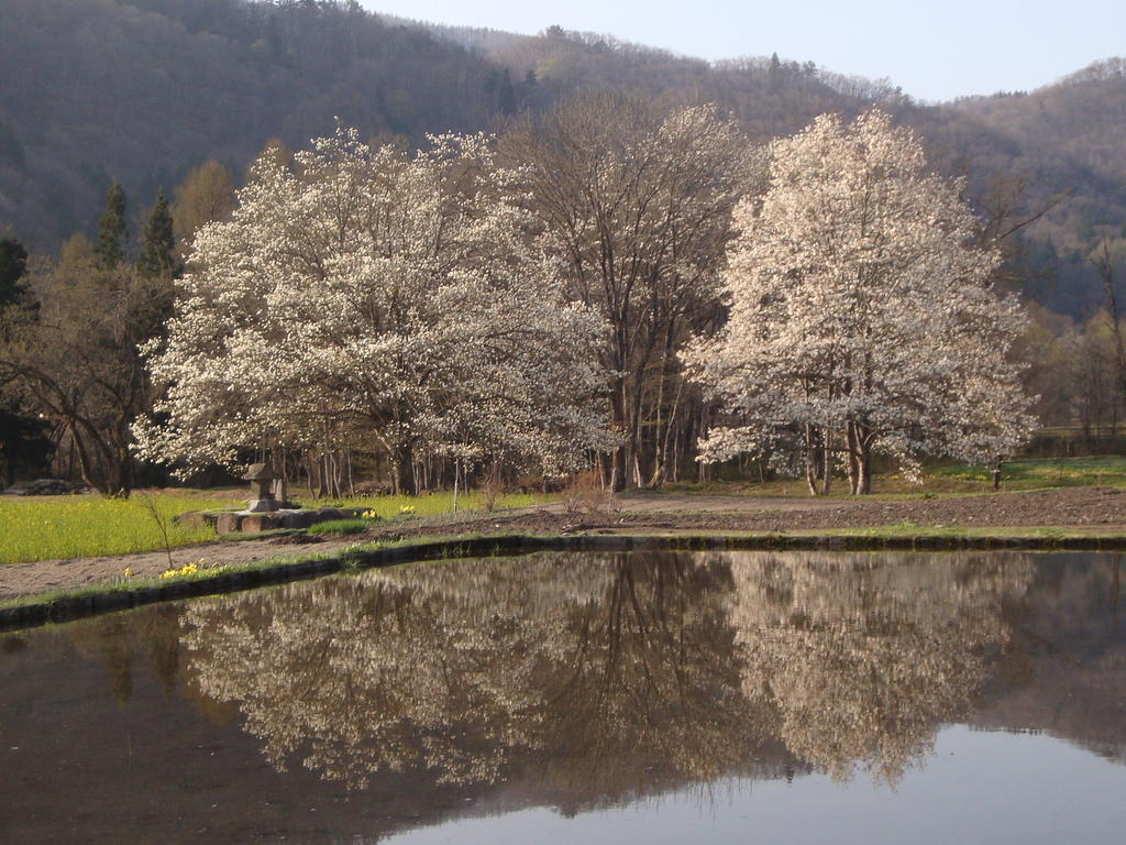 Hotel La Montagne Furuhata Hakuba Exteriör bild